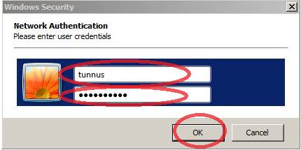 Step 3 - Network Authentication Window